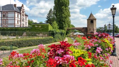 haguneau bas-rhin alsace